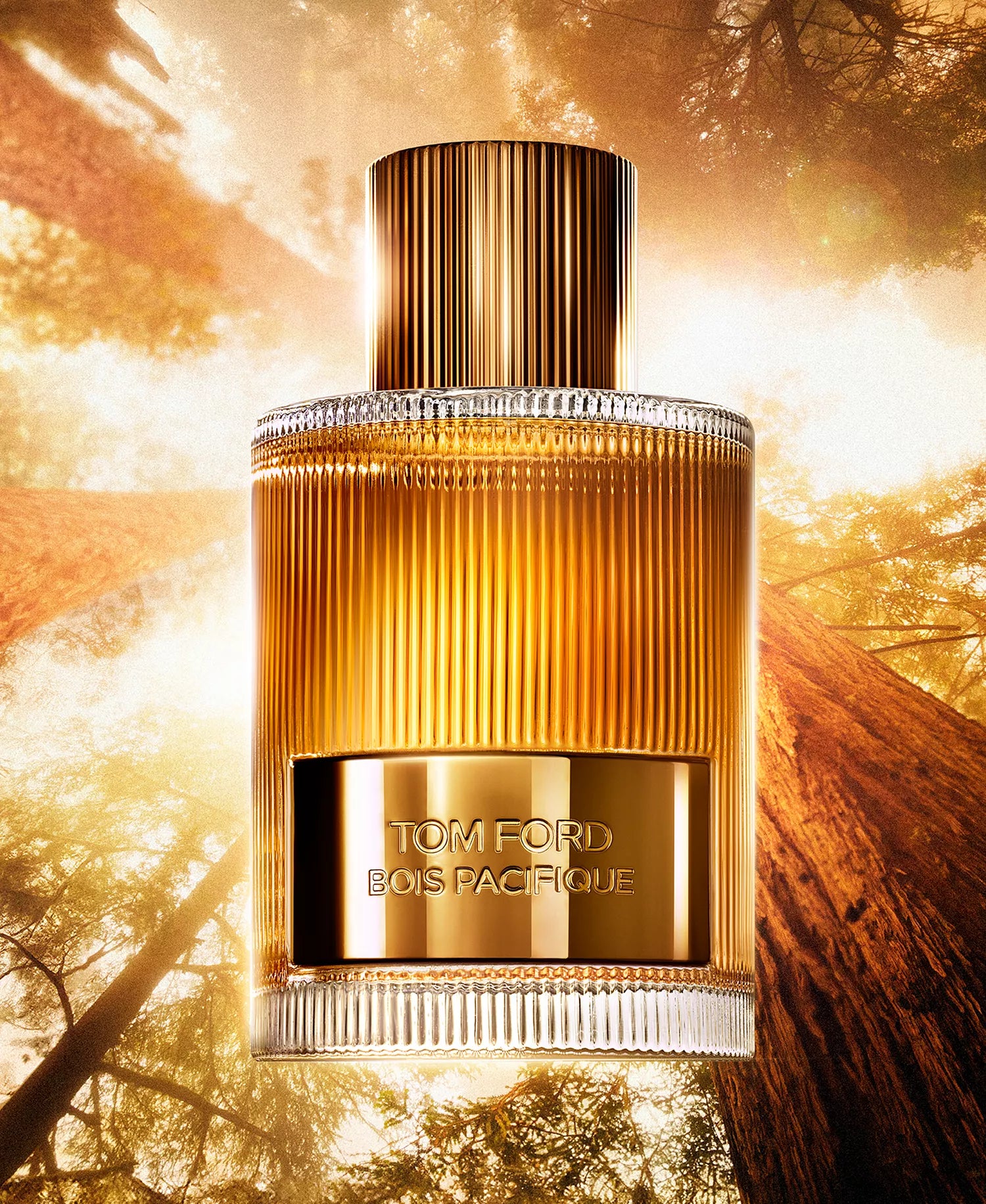 Tom Ford Bois Pacifique Men's Eau de Parfum, 3.4 oz.