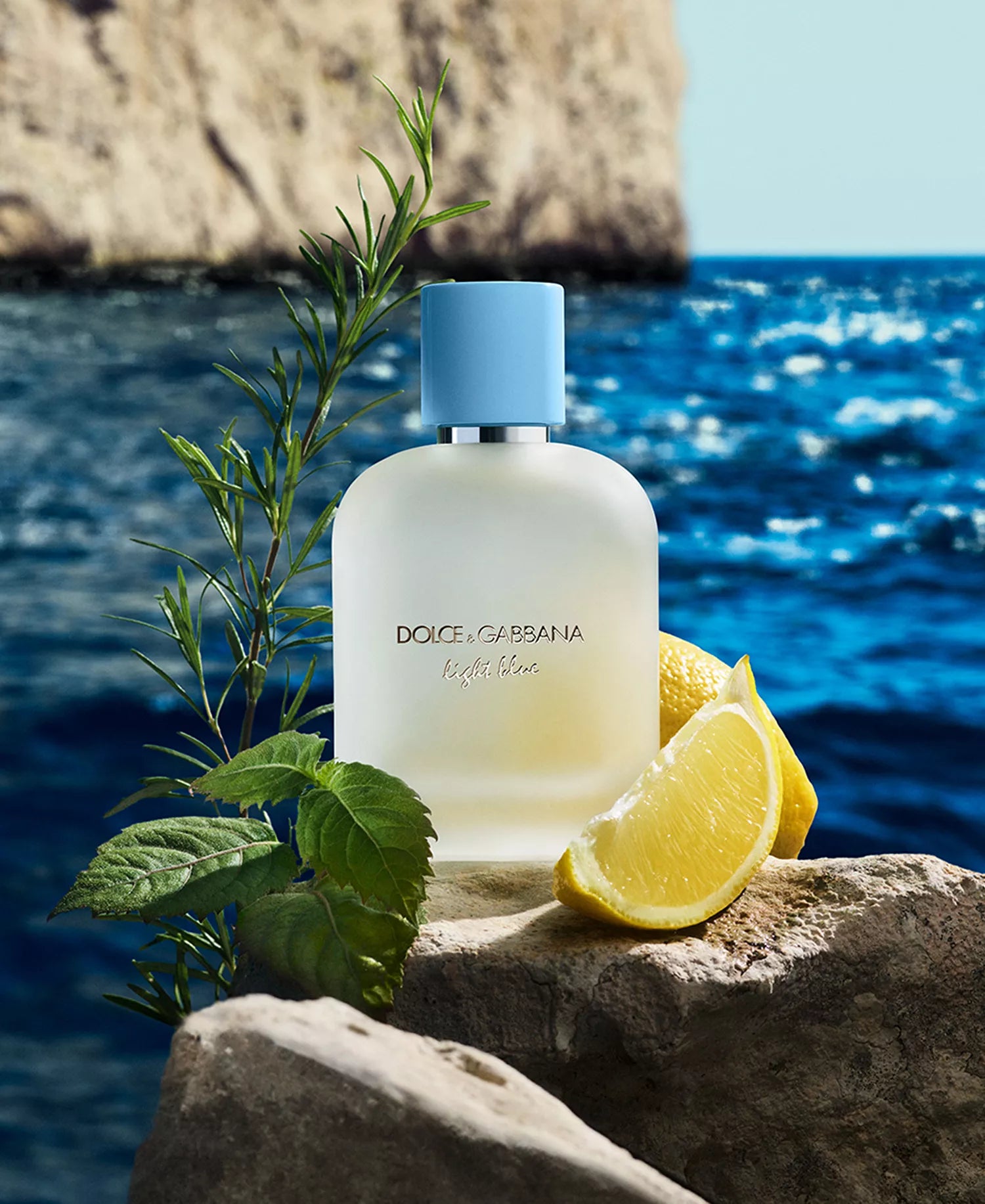 Dolce & Gabbana Men's Light Blue Pour Homme Eau de Toilette – 3.3 oz.