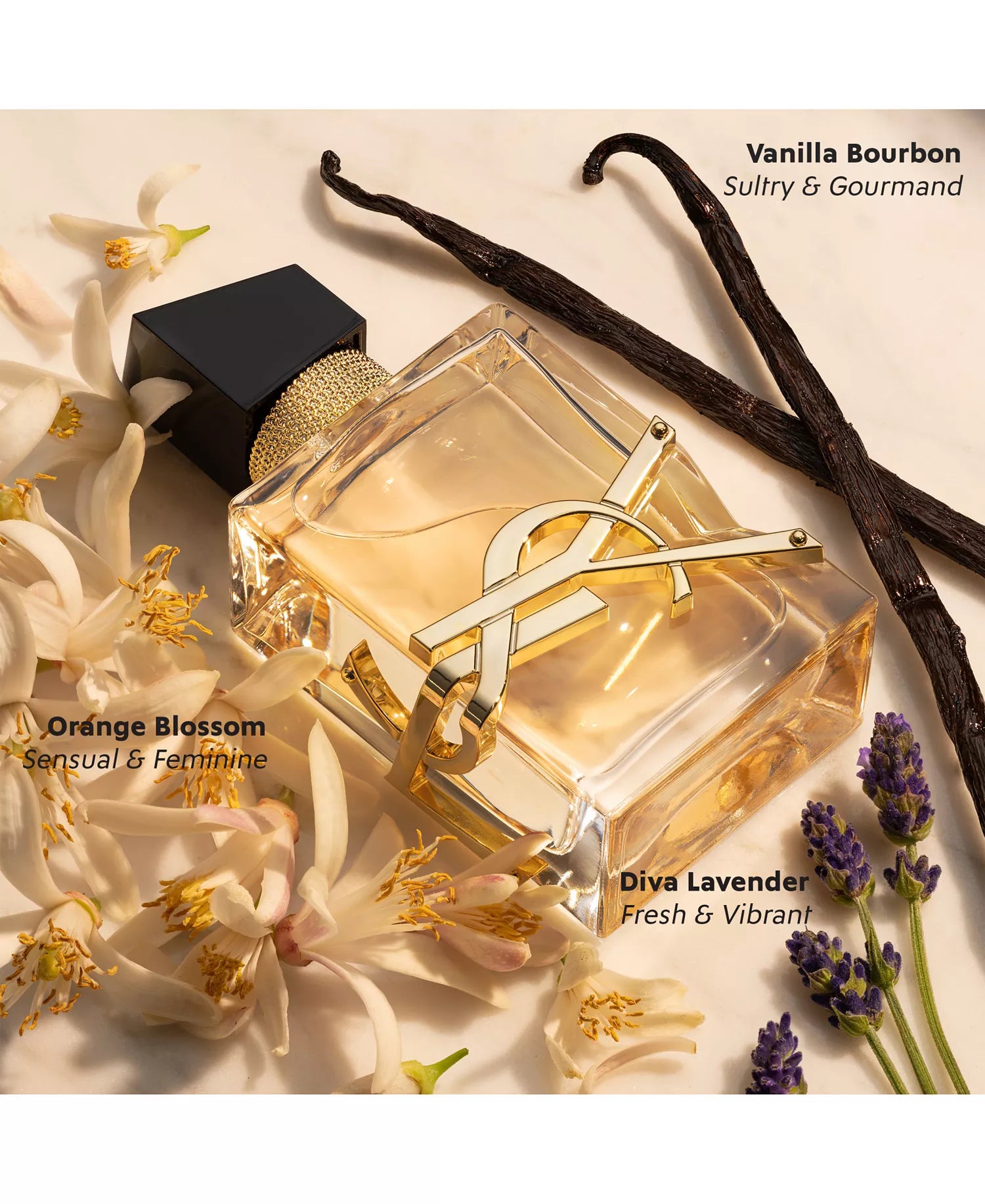 Yves Saint Laurent Libre Eau de Parfum Spray, 3 oz.